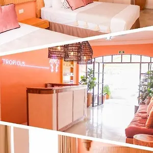 Tropicus Boutique México